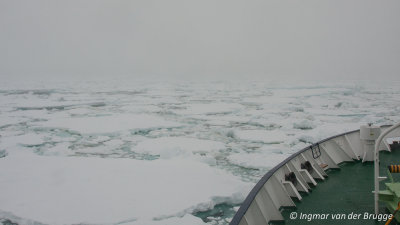 Drift ice