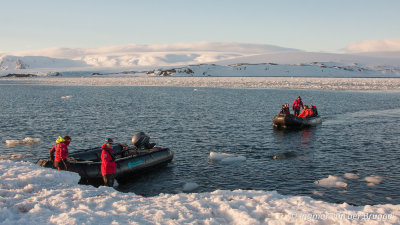 Penguin Island