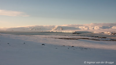 Penguin Island