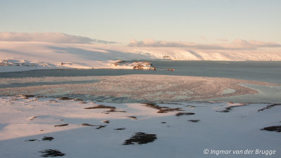 Penguin Island