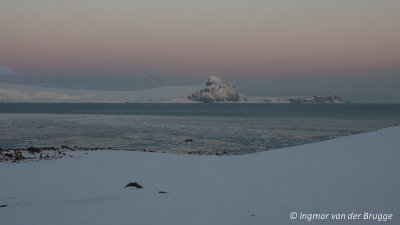 Penguin Island
