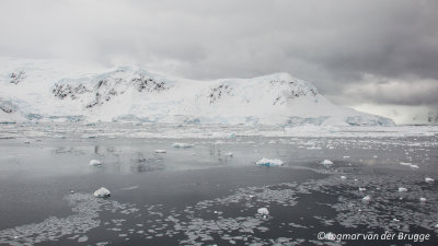 Snowy landscape