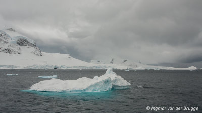 Iceberg