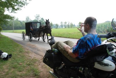 Dutch Amish