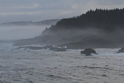 foggy_Oregon_coast.jpg