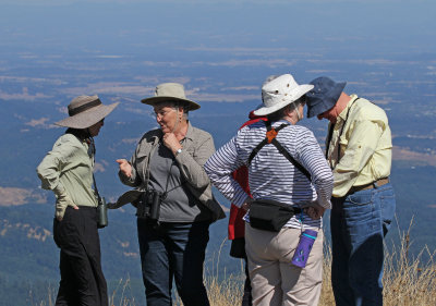 scene_from_Marys_peak.jpg