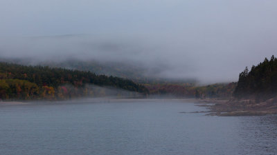 Otter Cove