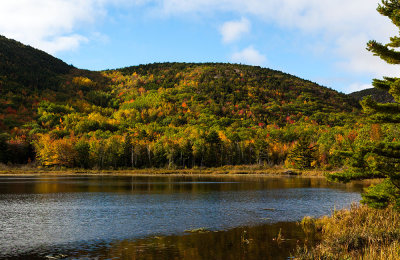 Beaver Dam Pond