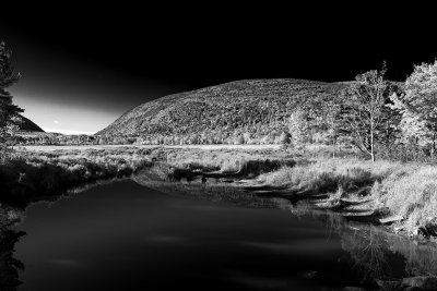 Great Meadow 1
