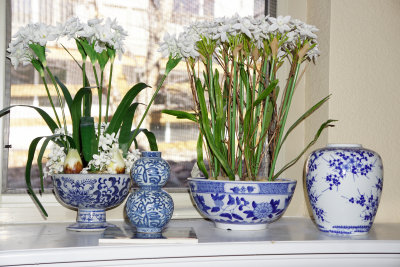 Orgblvases.jpg