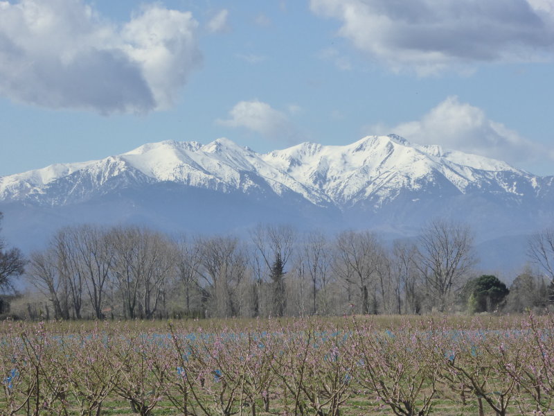 Perpignan