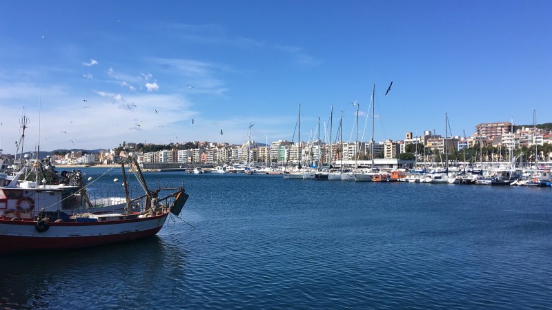 Blanes