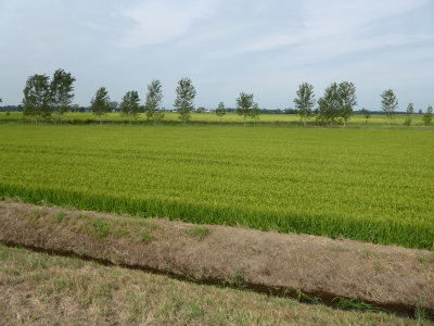 Po valley