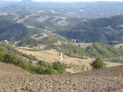 Montefeltro