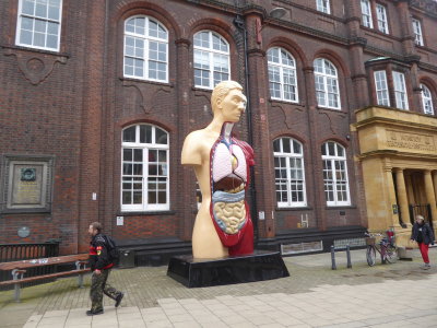 Norwich University of the Arts - Damien Hirst