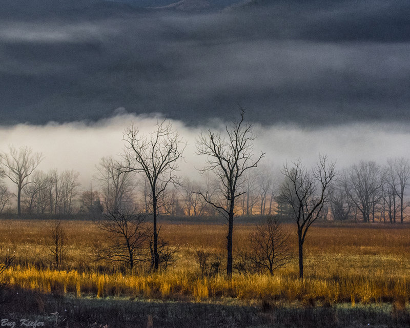 Fog Band Across a Field 