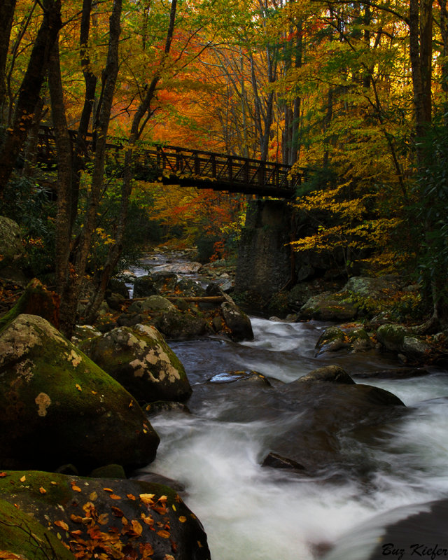 Beneath a Bridge 