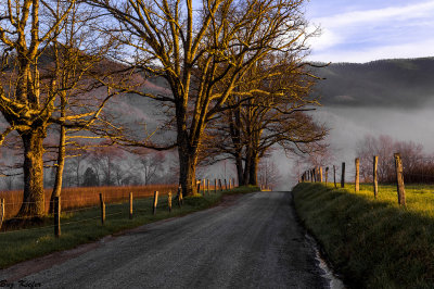 Early Rays on a Country Road
