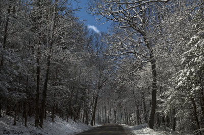 A Road in Winter