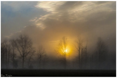 Morning Light and Fog 