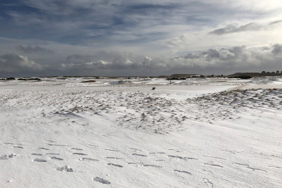 Carnoustie in the Snow