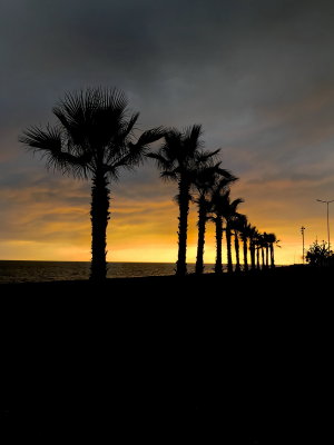 Pineda
