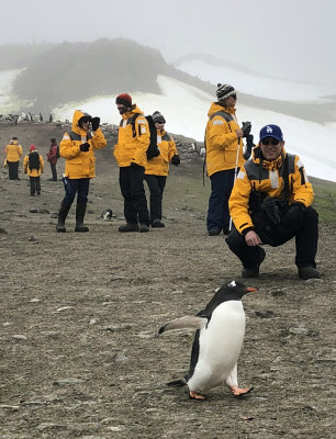 JB & penguin 