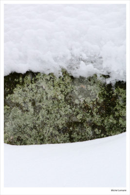 Neige25w.jpg