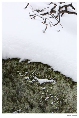 Neige27w.jpg