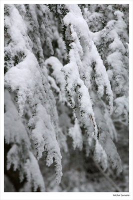 Neige29w.jpg