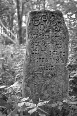 154174776.RwLrZtuJ.18.jpg