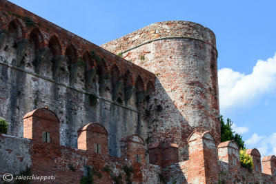 Rocca di Montecarlo,Lucca