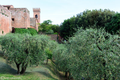 Rocca di Montecarlo,Lucca