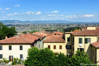 Montecarlo,Lucca