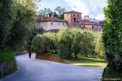 Montecarlo,Lucca