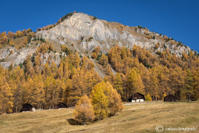 Livigno (Sondrio)