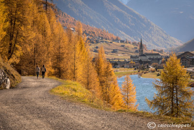 Livigno (Sondrio)