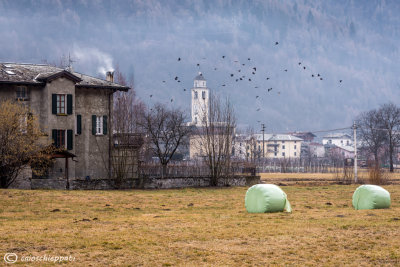 Tovo S.Agata,Valtellina