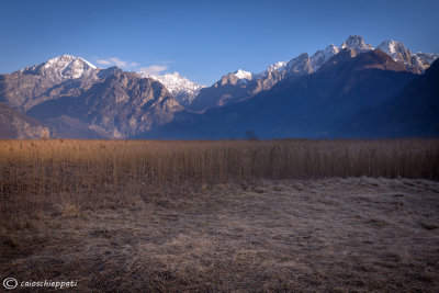 Riserva naturale Pian di Spagna.