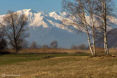 Riserva naturale Pian di Spagna.