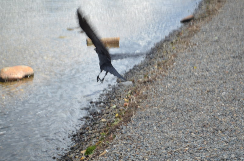 3_DSC_0115.JPG