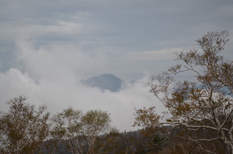 1_DSC_0227.JPG