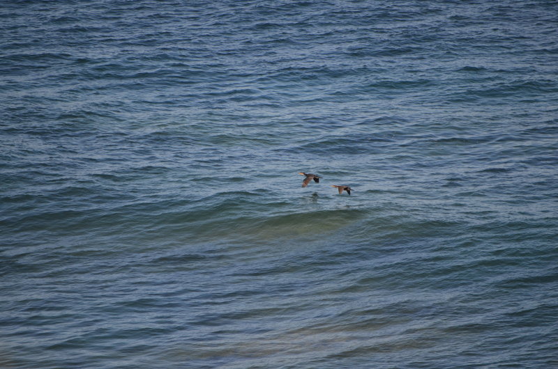3_DSC_0243.JPG