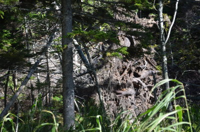 3_DSC_0046.JPG