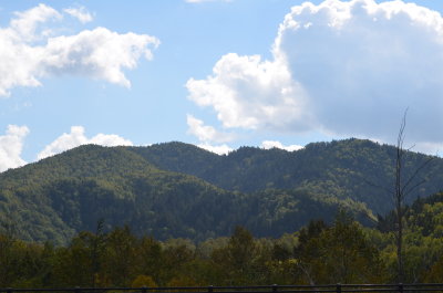 1_DSC_0237.JPG
