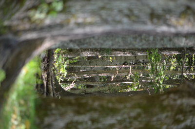 3_DSC_0022.JPG