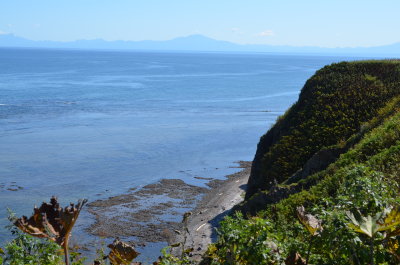 3_DSC_0280.JPG