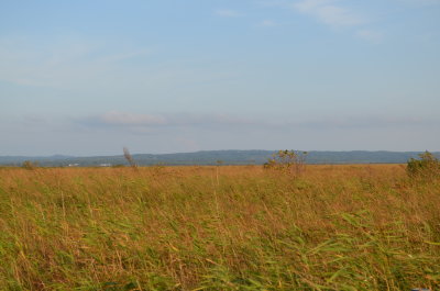 1_DSC_0174.JPG