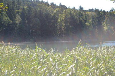 3_DSC_0055.JPG