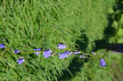 3_DSC_0281.JPG